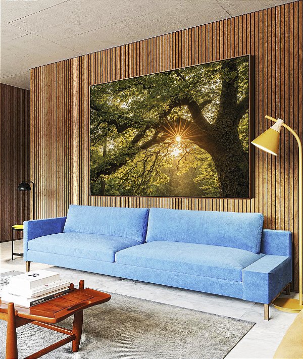 Quadro Horizontal Árvore Luzes do Sol Floresta Paisagem Canvas Moldura