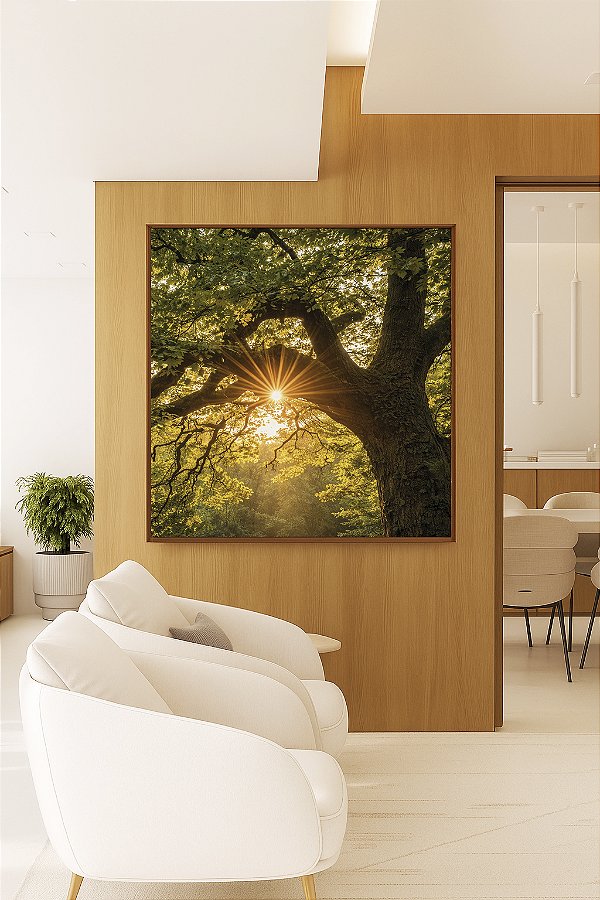 Quadro Quadrado Árvore Luzes do Sol Floresta Paisagem Canvas Moldura