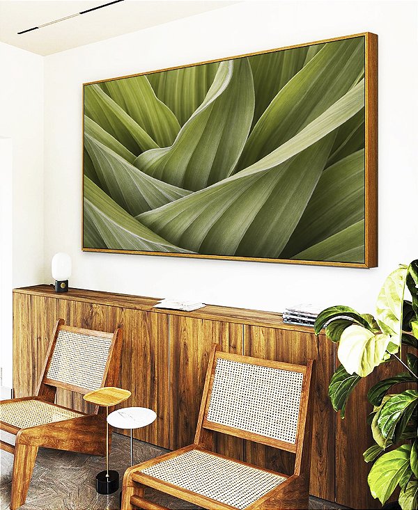 Quadro Horizontal Planta Folhagem Verde Natureza Paisagem Canvas Moldura