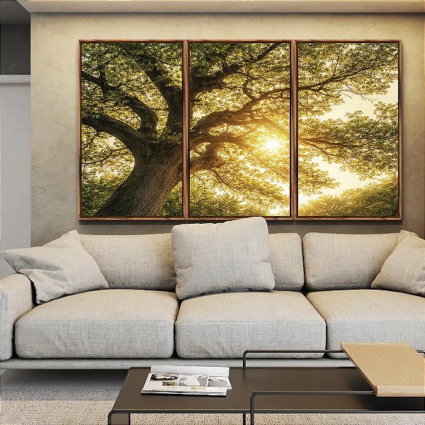Trio de Quadros Árvore Céu Luzes Douradas Sol Natureza Canvas Moldura