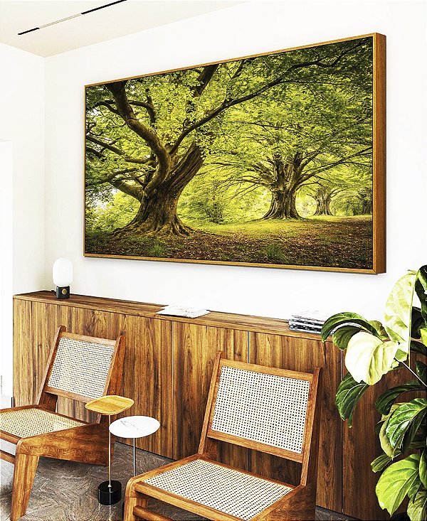 Quadro Horizontal Árvores Em Floresta Natureza Folhas Claridade Natureza Canvas Moldura