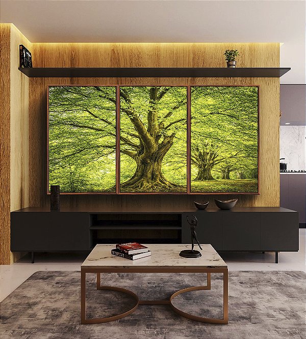 Trio de Quadros Árvores Campo Floresta Natureza Iluminada Canvas Moldura