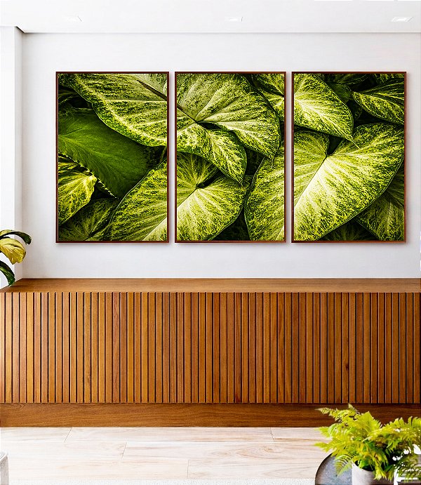 Trio de Quadros Planta Folha Verde Claro Vivo Natureza Canvas Moldura