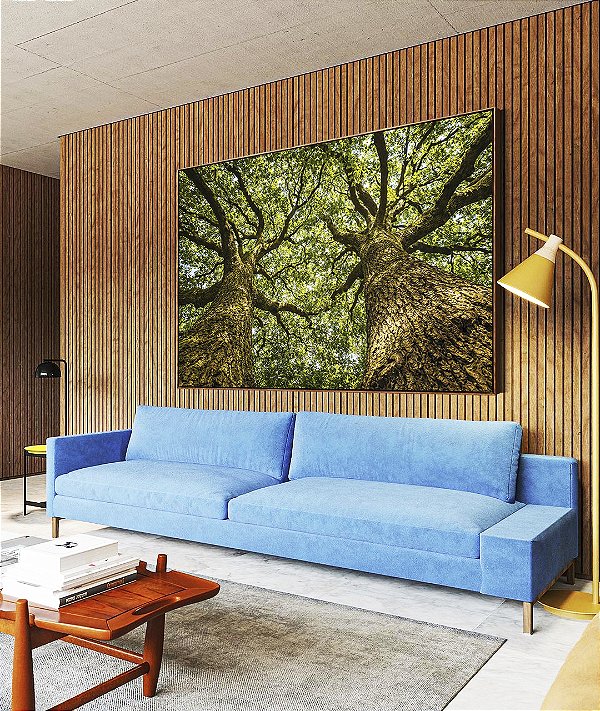 Quadro Horizontal Árvores Paisagem Folhas Troncos Galhos Natureza Canvas Moldura