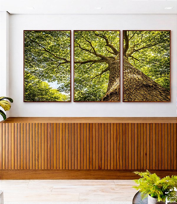 Trio de Quadros Árvore Galhos Folhas Verdes Vibrantes Céu Paisagem Natureza Canvas Moldura