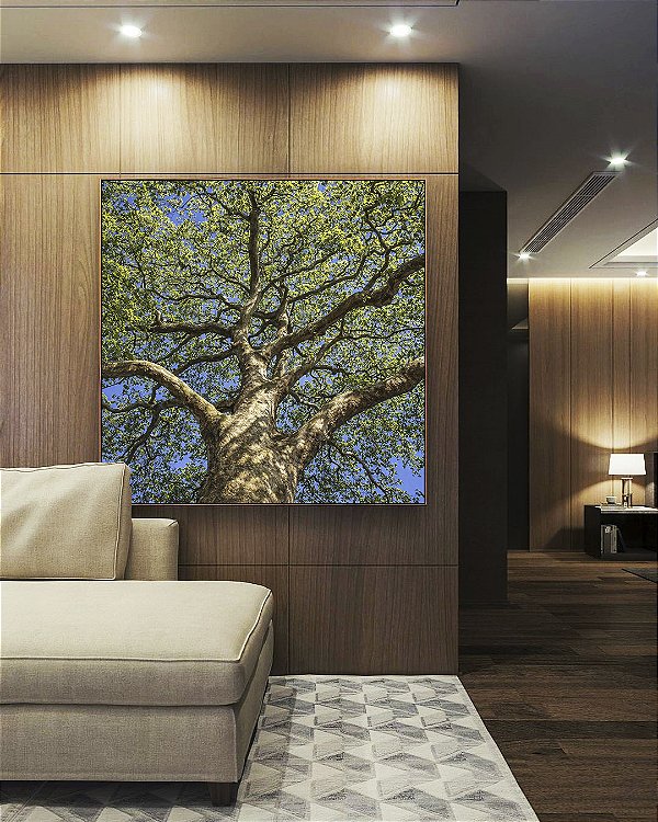 Quadro Quadrado Árvore Frondosa Folhas Verdes Contra Céu Azul Canvas Moldura