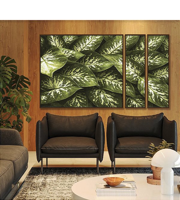 Trio de Quadros Estilizados Planta Comigo-Ninguém-Pode Folhagem Natureza Paisagem Canvas Moldura