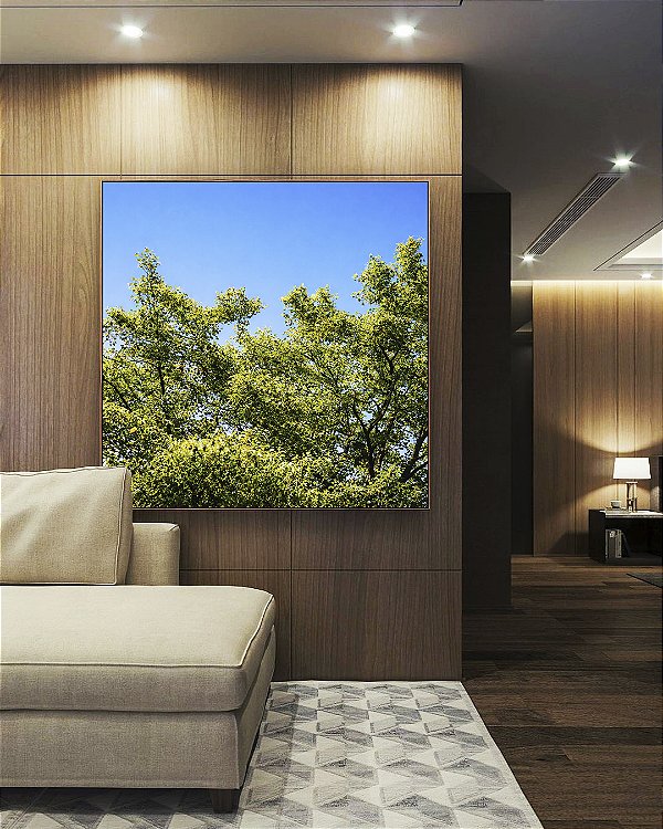 Quadro Quadrado Árvores Folhagem Verde Céu Claro Limpo Natureza Paisagem Canvas Moldura