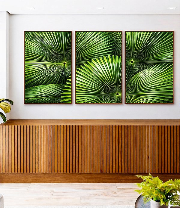Trio de Quadros Planta Palmeira-Leque Verde Folhagem Natureza Canvas Moldura
