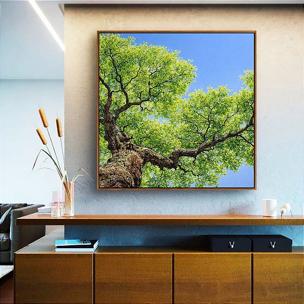 Quadro Quadrado Céu Azul Vivo Copa de Árvore Folhas Verdes Paisagem Natureza Canvas Moldura
