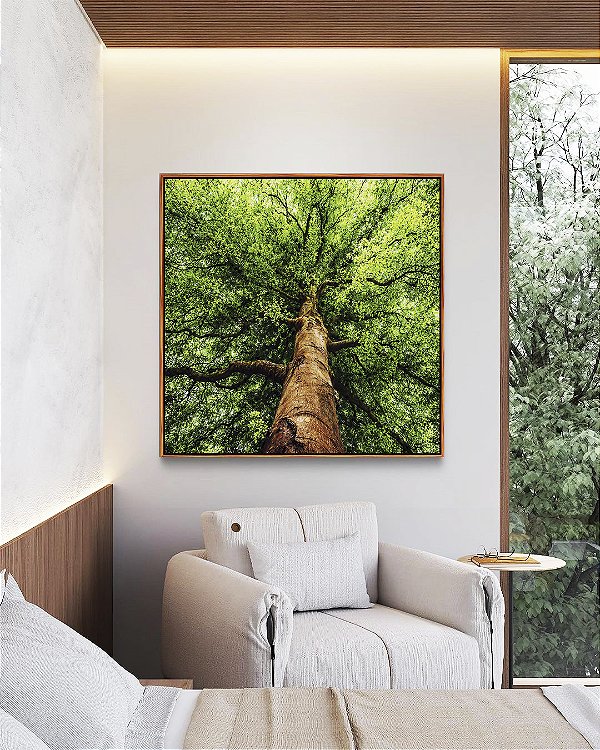 Quadro Quadrado Paisagem Árvore Folhas Verdes Floresta Natureza Canvas Moldura