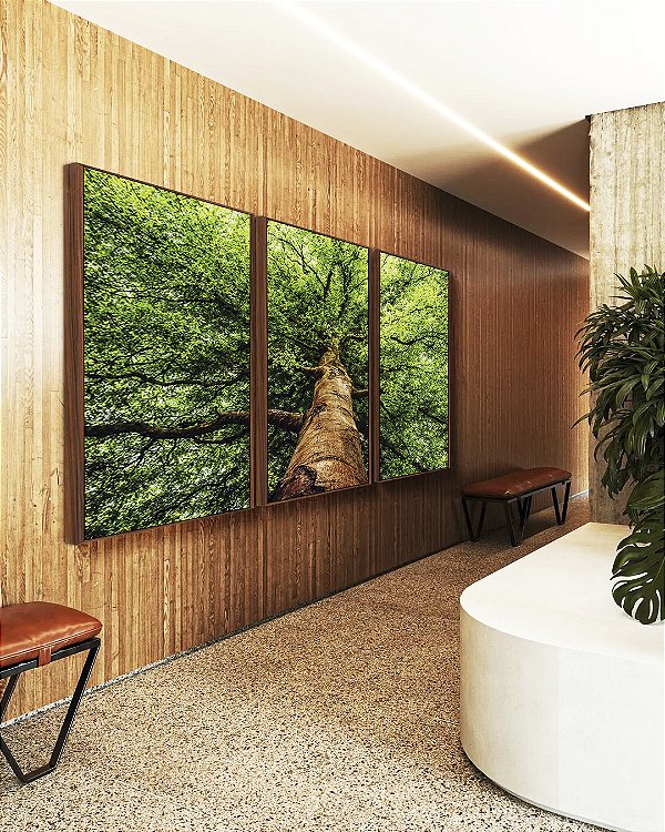 Trio de Quadros Paisagem Árvore Folhas Verdes Floresta Natureza Canvas Moldura