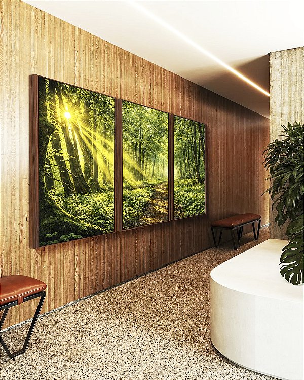 Trio de Quadros Caminho na Floresta Luz do Sol Paisagem Verde Natureza Relaxante Canvas Moldura
