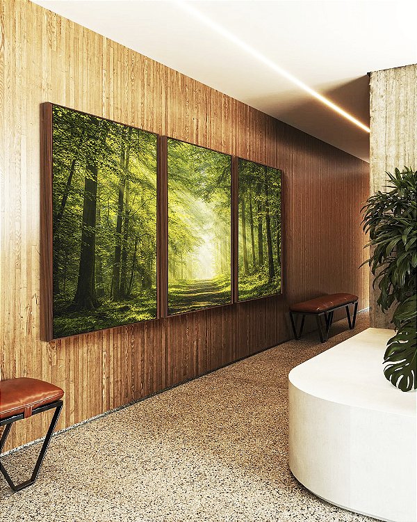 Trio de Quadros Caminho Iluminado Floresta Árvores Raios de Luz Sol Natureza Verde Canvas Moldura