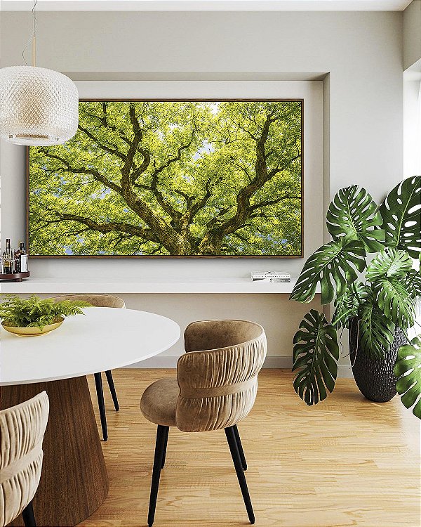 Quadro Horizontal Copa de Árvore Verde Natureza Paisagem Luz Solar Canvas Moldura