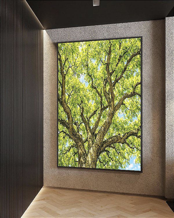 Quadro Vertical Copa de Árvore Verde Luz Solar Céu Azul Natureza Canvas Moldura