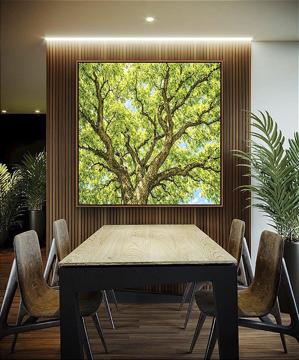 Quadro Quadrado Copa de Árvore Verde Luz Solar Céu Azul Natureza Canvas Moldura