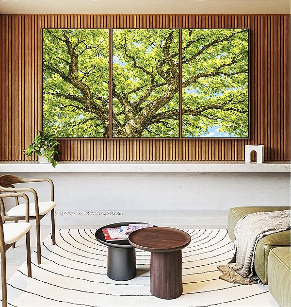 Trio de Quadros Copa de Árvore Verde Luz Solar Céu Azul Natureza Canvas Moldura
