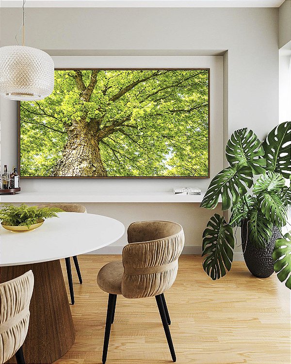 Quadro Horizontal Copa de Árvore Verde Iluminada Céu Natureza Paisagem Canvas Moldura