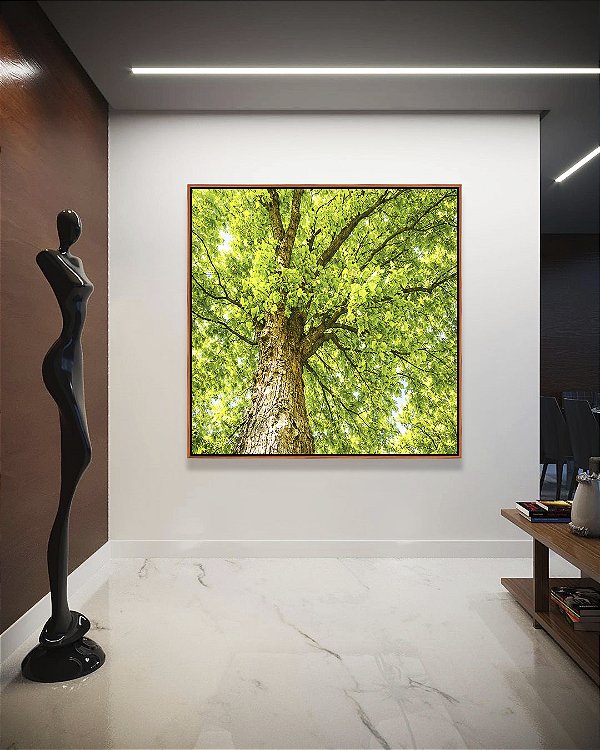 Quadro Quadrado Copa de Árvore Verde Iluminada Céu Natureza Paisagem Canvas Moldura