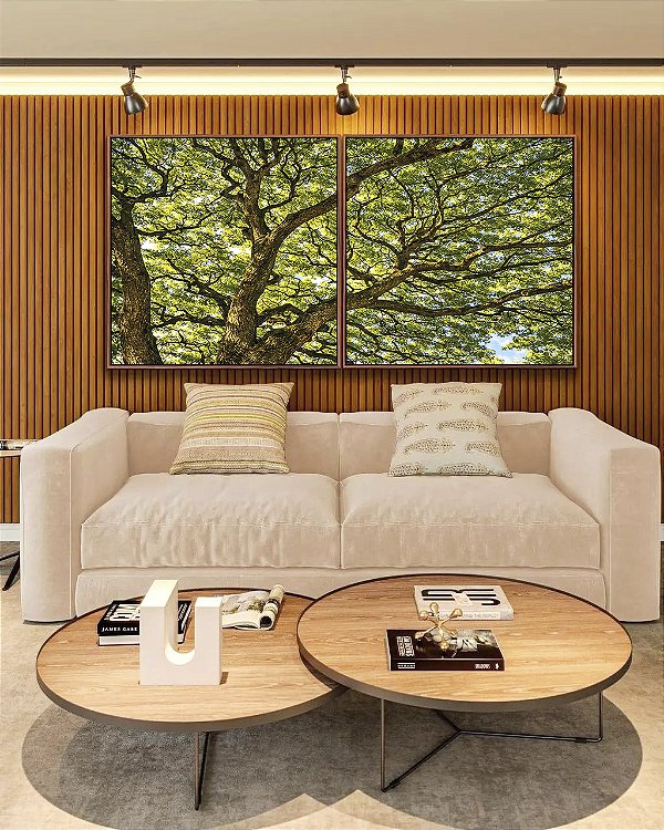 Duo de Quadros Quadrados Copa das Árvores Galhos Luz Natural Paisagem Canvas Moldura