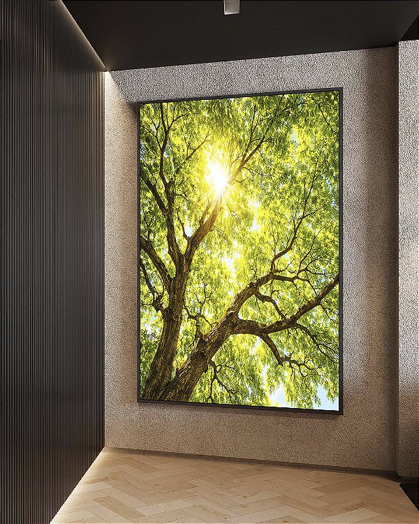 Quadro Vertical Copa da Árvore Luz do Sol Céu Azul Natureza Canvas Moldura