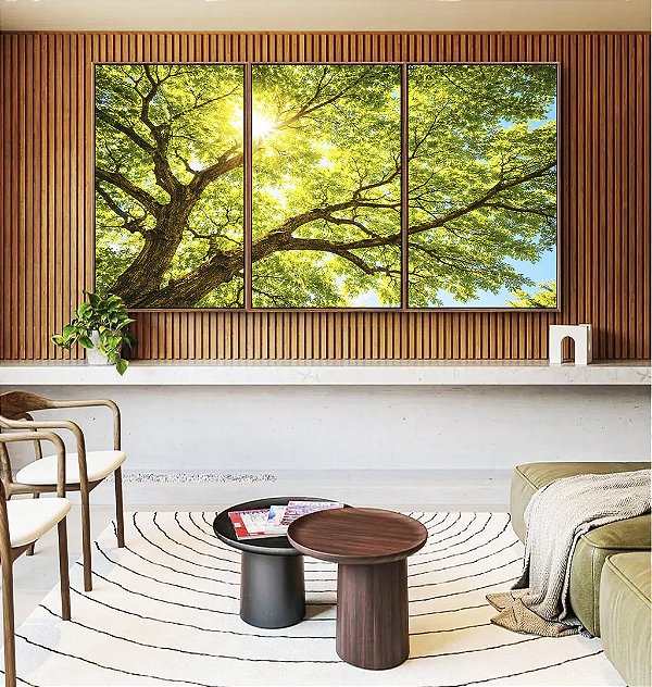Trio de Quadros Copa da Árvore Luz do Sol Céu Azul Natureza Canvas Moldura