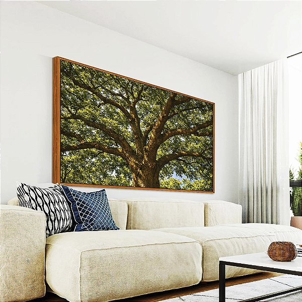 Quadro Horizontal Árvore Iluminada Folhagem Verde Luz Natural Canvas Moldura