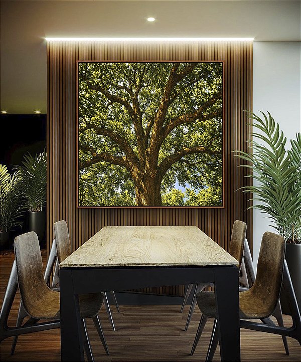 Quadro Quadrado Árvore Iluminada Folhagem Verde Luz Natural Canvas Moldura