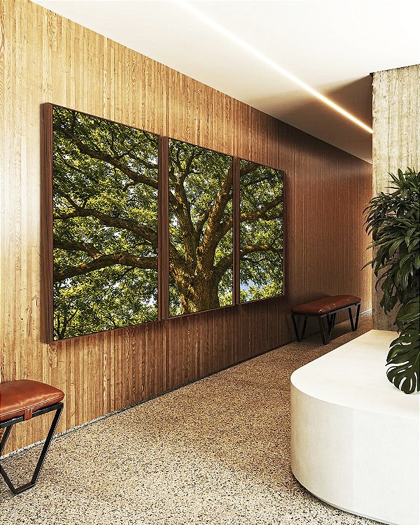 Trio de Quadros Árvore Iluminada Folhagem Verde Luz Natural Canvas Moldura