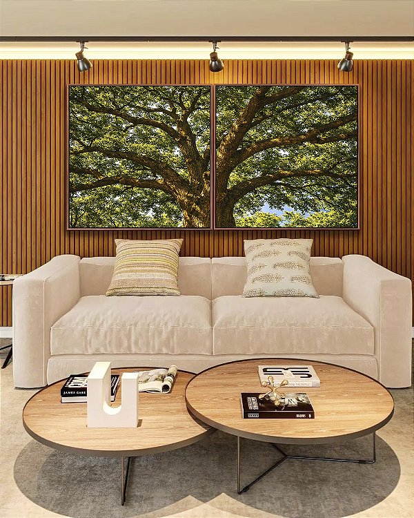 Duo de Quadros Quadrados Árvore Iluminada Folhagem Verde Luz Natural Canvas Moldura