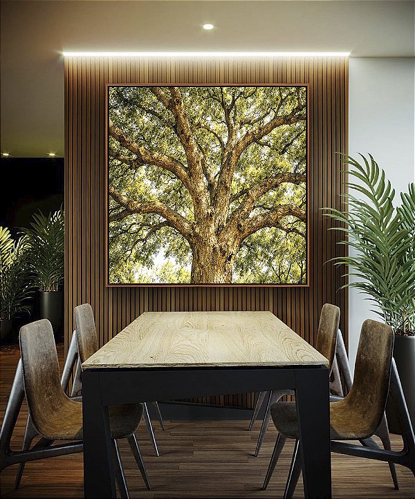 Quadro Quadrado Árvore Majestosa Folhagem Verde Luz Dourada Natureza Canvas Moldura
