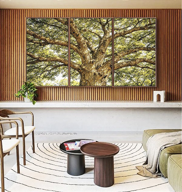 Trio de Quadros Árvore Majestosa Folhagem Verde Luz Dourada Natureza Canvas Moldura