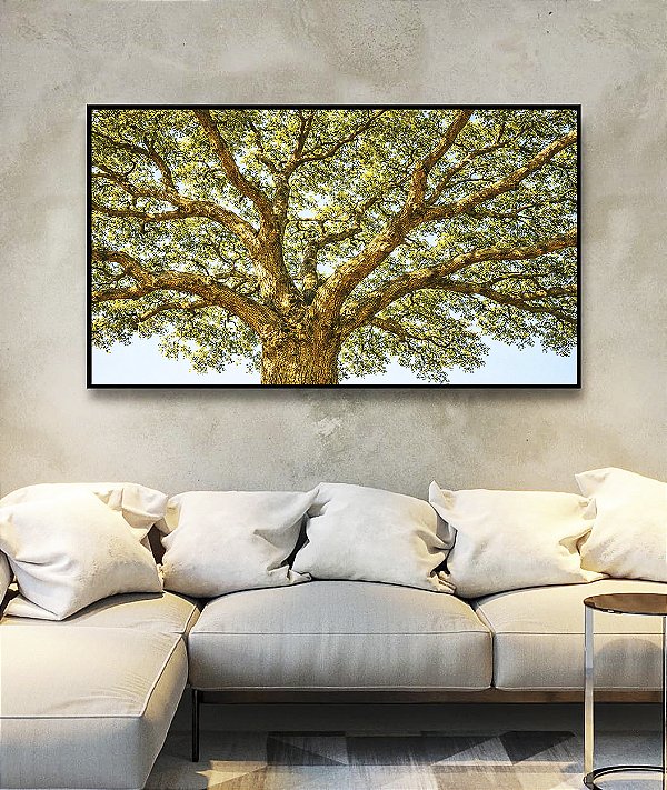 Quadro Horizontal Paisagem Copa de Árvore iluminada Natureza Canvas Moldura