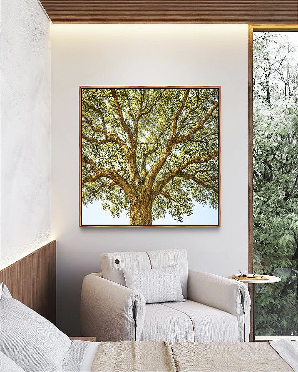Quadro Quadrado Paisagem Copa de Árvore iluminada Natureza Canvas Moldura