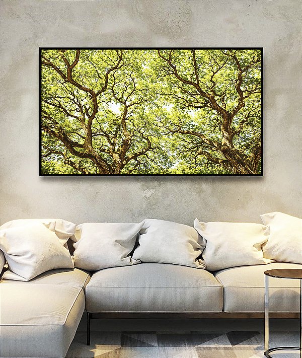 Quadro Horizontal Copa de Árvore Iluminada Galhos Folhas Verdes Natureza Canvas Moldura