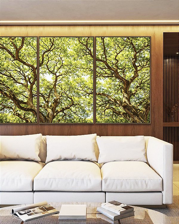 Trio de Quadros Copa de Árvore Iluminada Galhos Folhas Verdes Natureza Canvas Moldura