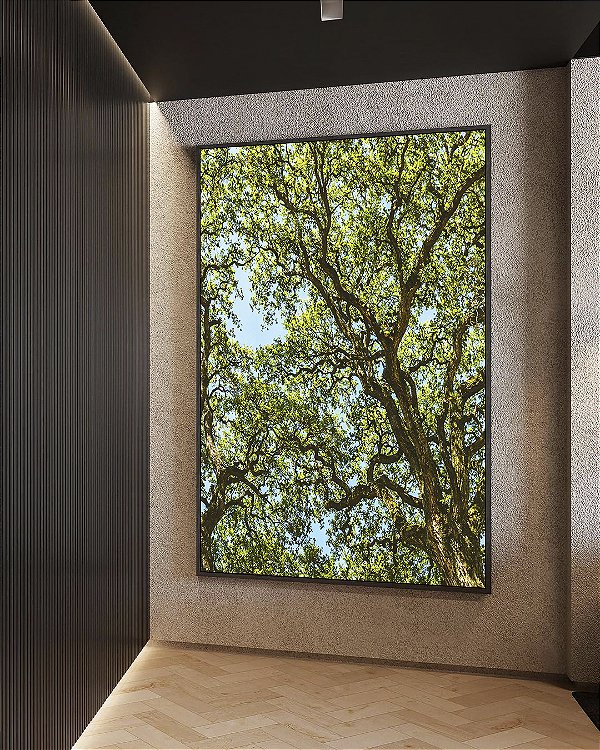 Quadro Vertical Copa de Árvores Verdes Imponentes Céu Azul Natureza Canvas Moldura