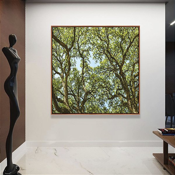 Quadro Quadrado Copa de Árvores Verdes Imponentes Céu Azul Natureza Canvas Moldura