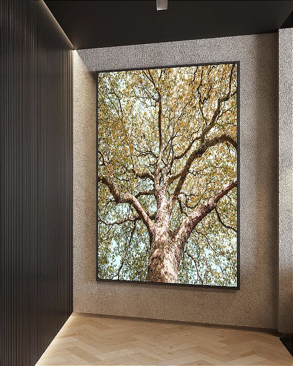 Quadro Vertical Árvore Outono Folhas Douradas Céu Azul Turquesa Paisagem Natureza Canvas Moldura