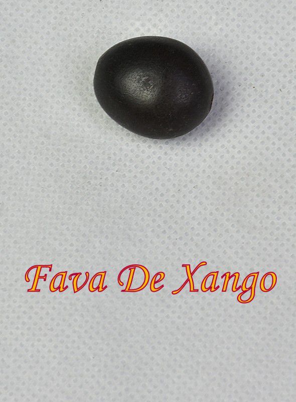 FAVA DE XANGO