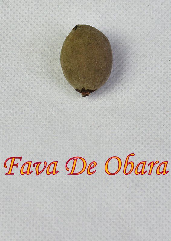 FAVA DE OBARA