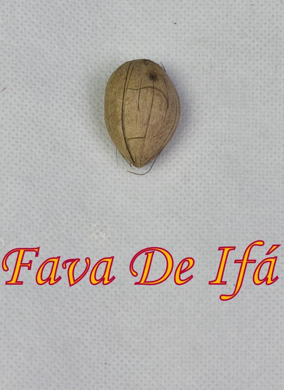 FAVA DE IFÁ