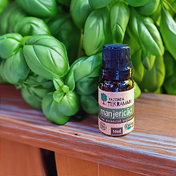Óleo Essencial Orgânico de Manjericão 10ml
