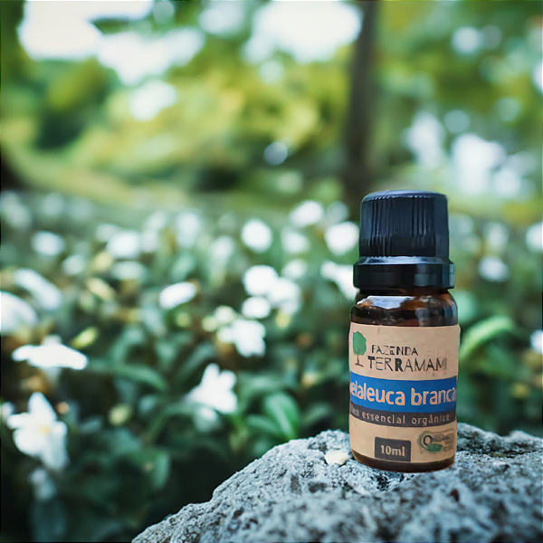 Óleo Essencial Orgânico de Melaleuca Branca 10ml