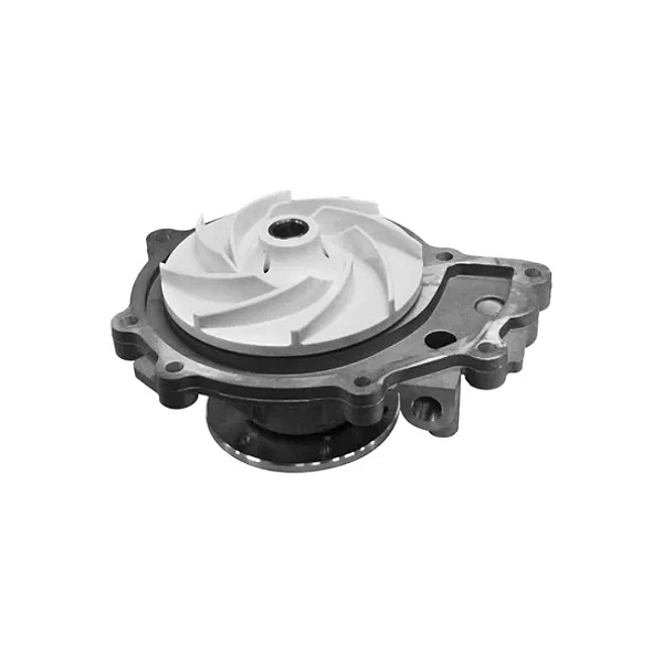 Bomba D'Água Motor Man 080V065006700