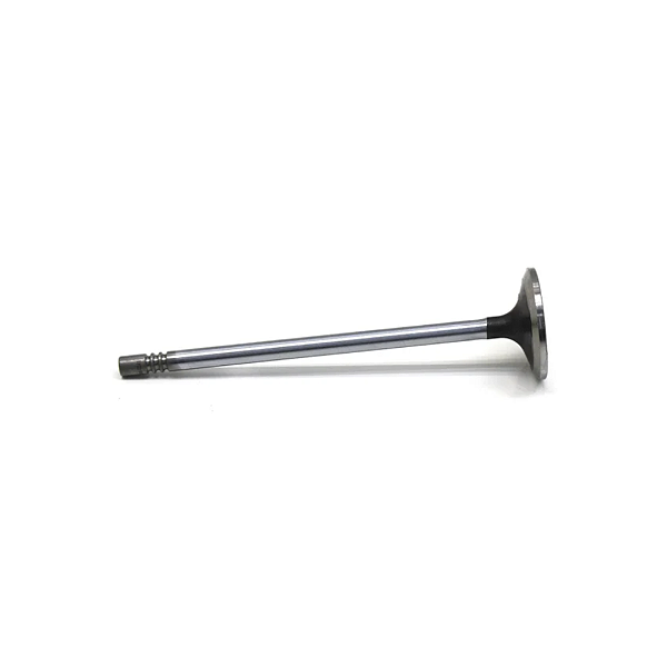 Válvula de Admissão Motor Man D0 834/836 07W109601