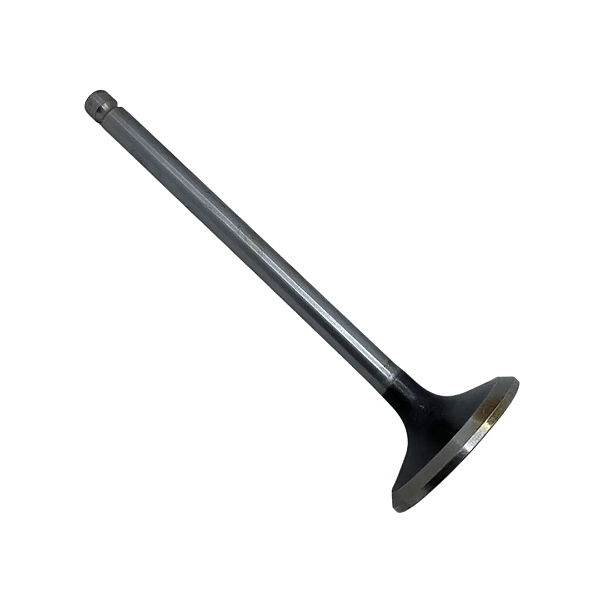 Válvula de Escape ISC 462050