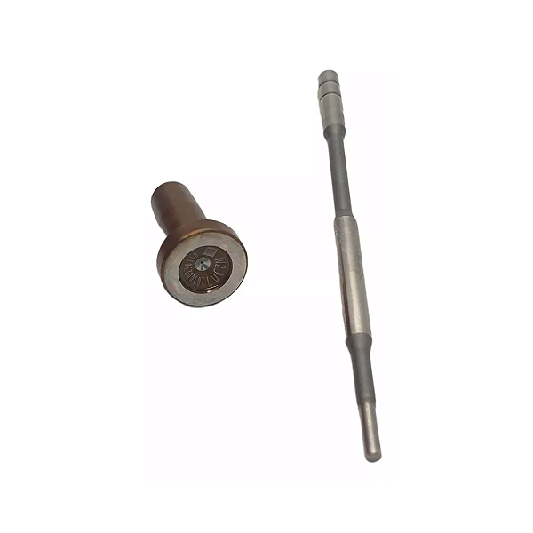 Bastão do Common Rail F00VC01023