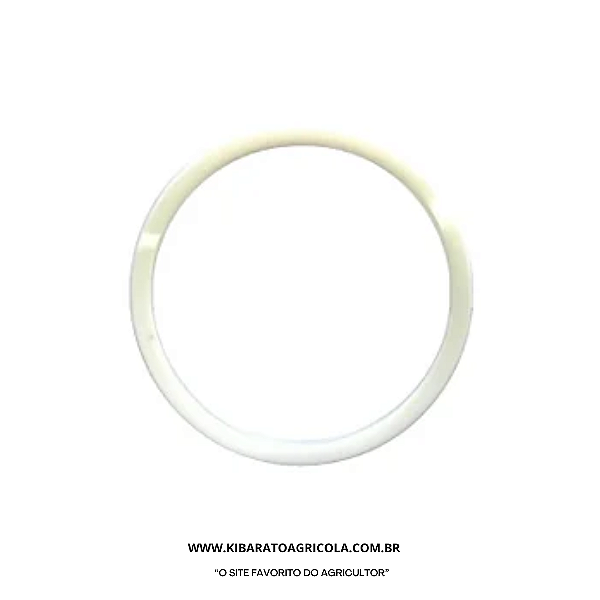 ANEL DE VEDACAO DO CAVALETE ZF MF/VT